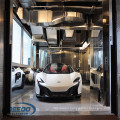 Passenger China Car Weight Parking Motorcycle Car Auto Garage Elevator